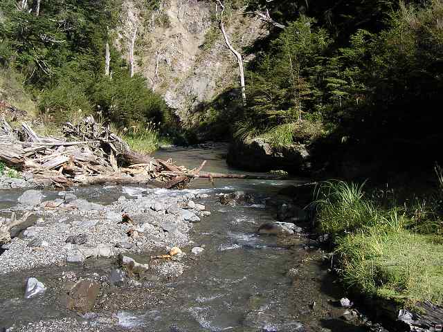 NZ leden-unor 2006 222.jpg